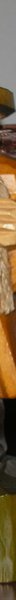 post-1464-0-41675300-1358009532_thumb.jpg