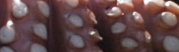 post-16-0-06267000-1309204385_thumb.jpg