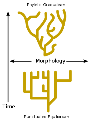 post-624-0-34146300-1309245091_thumb.png