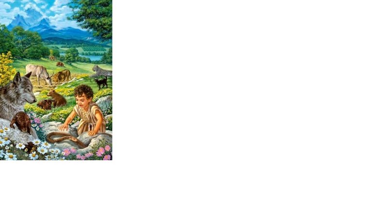 raj1.jpg