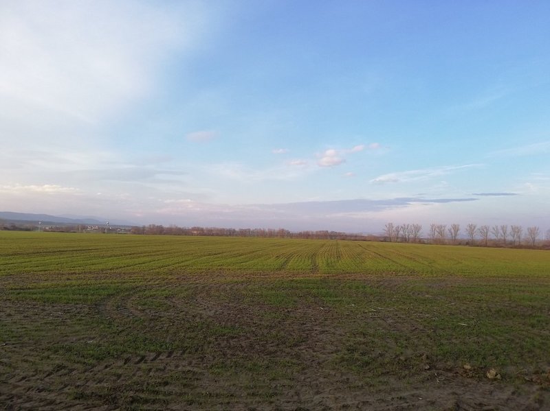 IMG_20201205_150205.jpg