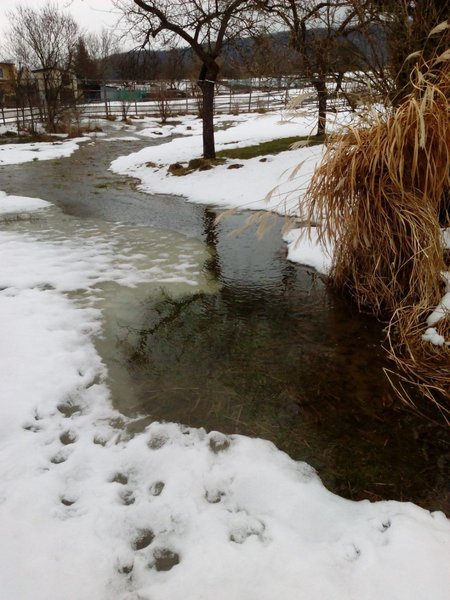 v.jpg