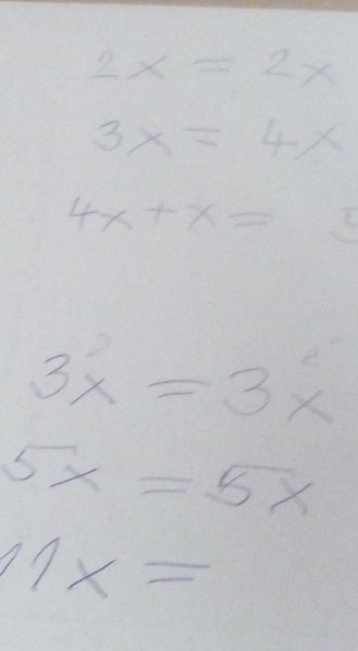 zena zapisovatel.jpg