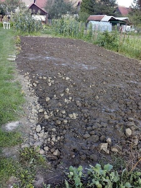 horcica.jpg