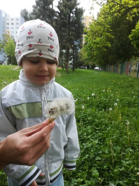 657757272_velkychlapkpia.thumb.jpg.caffd527143d4ce44dbda1bdbc21a0cf.jpg