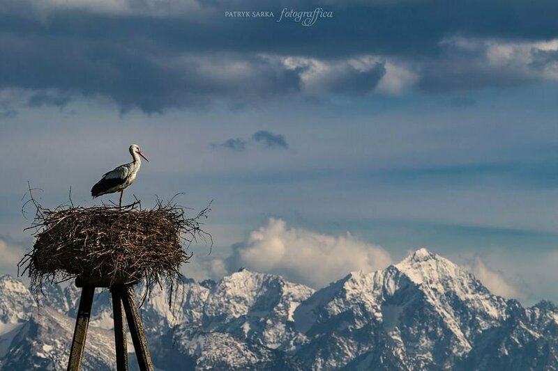 - pohlad na Vysoke Tatry z Polska - foto z internetu aj s menom autora.jpg