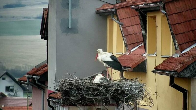 Spišské Bystré.jpg