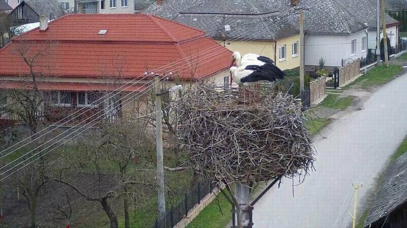 - Zemlinske hradiste.jpg