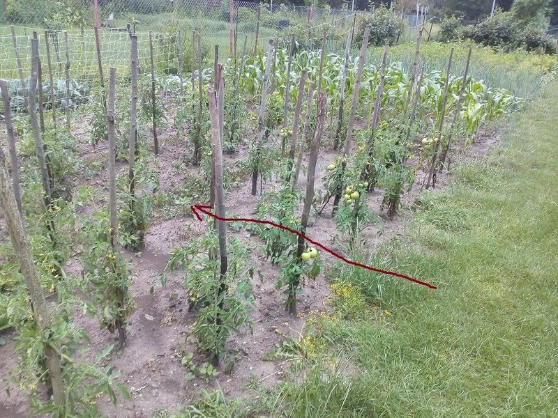 burina na chodniku.jpg