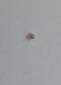 IMG_20230828_120555.jpg