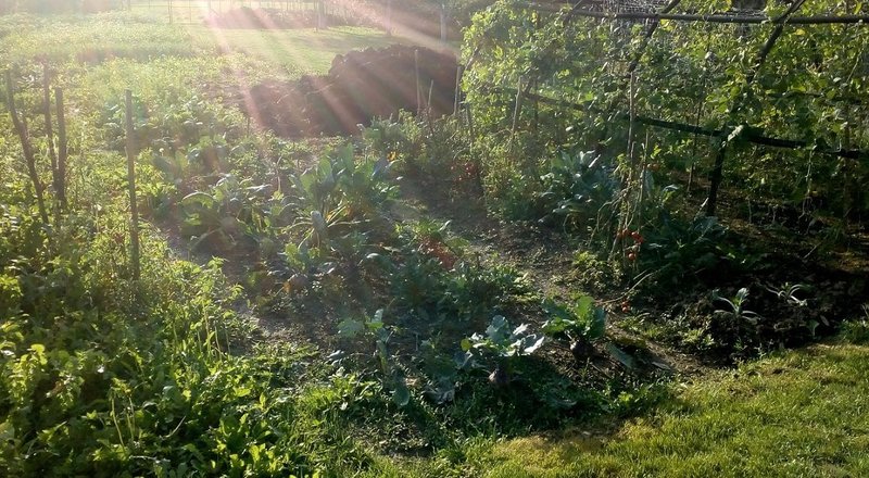 priprava zahrady na zimu.jpg