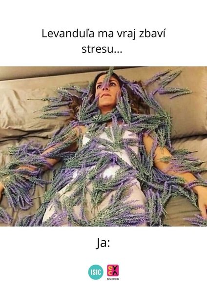 H.jpg