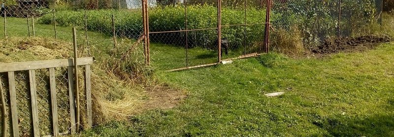 zahrada po 13 piatkovi.jpg