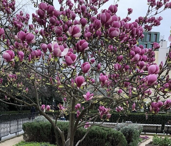 IMG_6325 – kópia.JPG