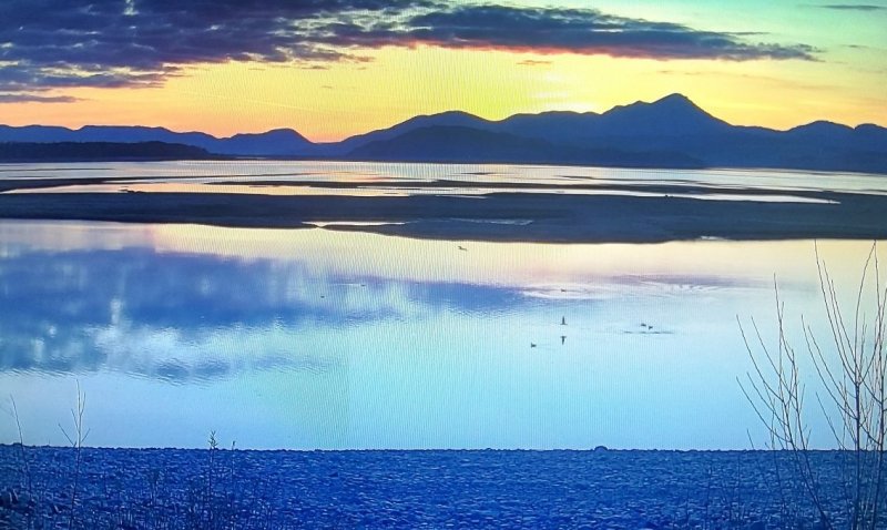 Vtáčí ostrov LM.jpg