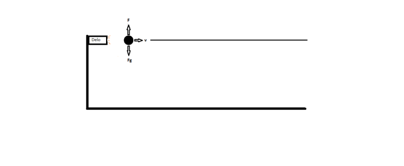 1.NZ.png
