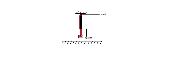 Fg - 10N.png