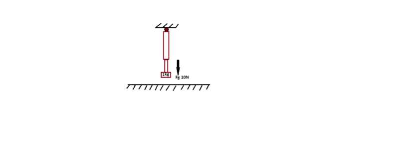 Fg.png