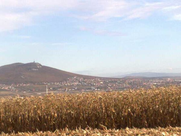 NITRA / 1/