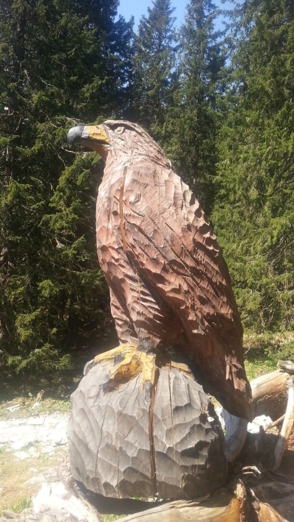 mali by sme si davat pozor, aby vtak nezdrevenel