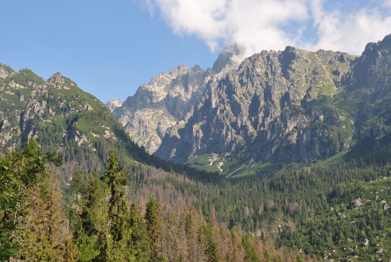 Veľká studená dolina, smer Skalnaté Pleso (august 2011)