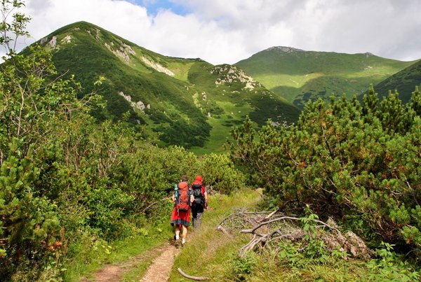 Belianske Tatry, smerom na Veľké Biele Pleso (júl 2011)