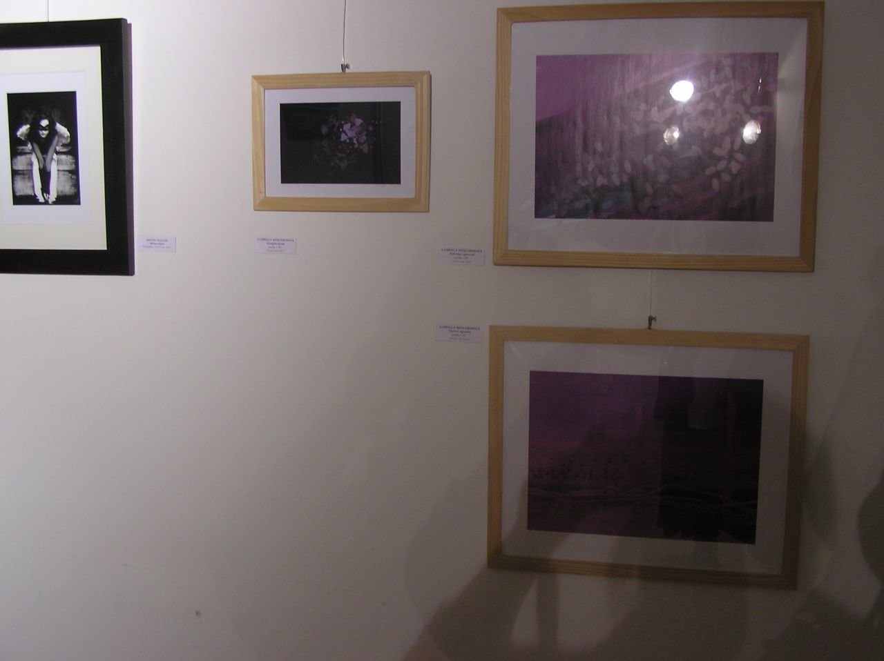 Stupavský salón výtvarníkov 2012