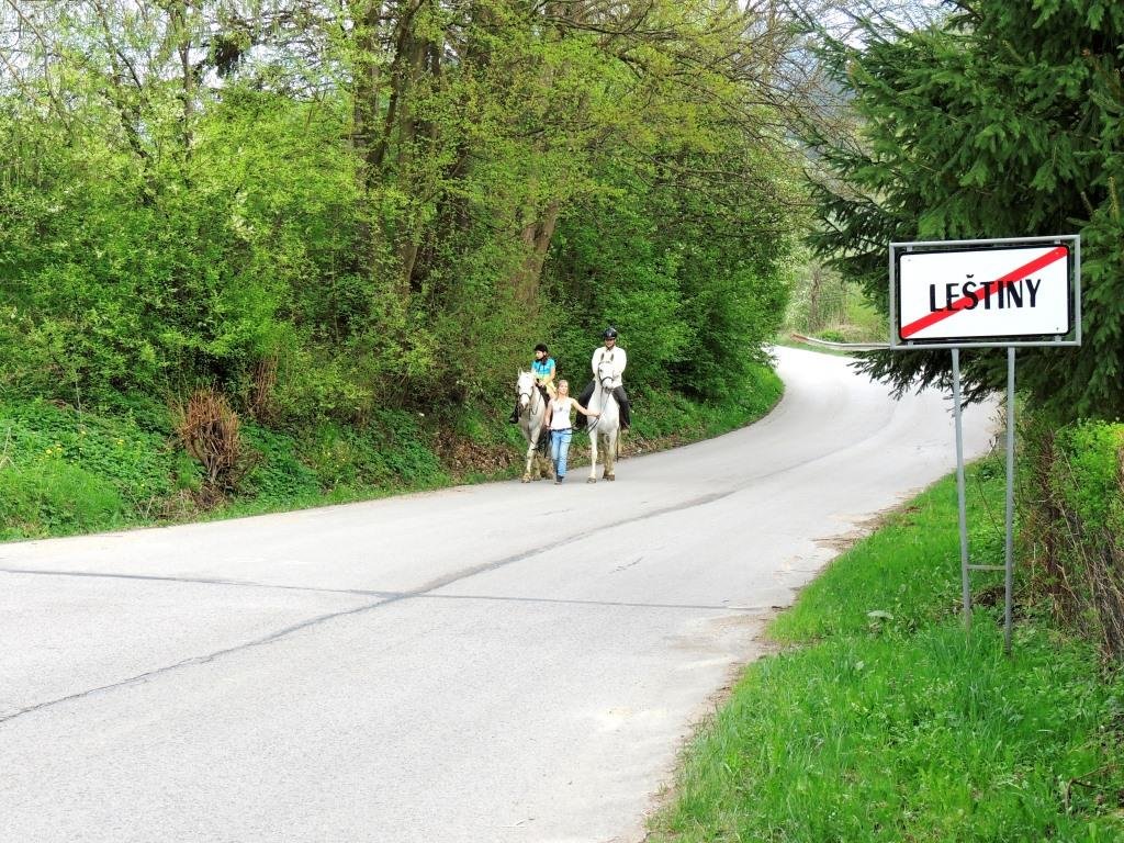 04 05 2013 Leštinské koníky M