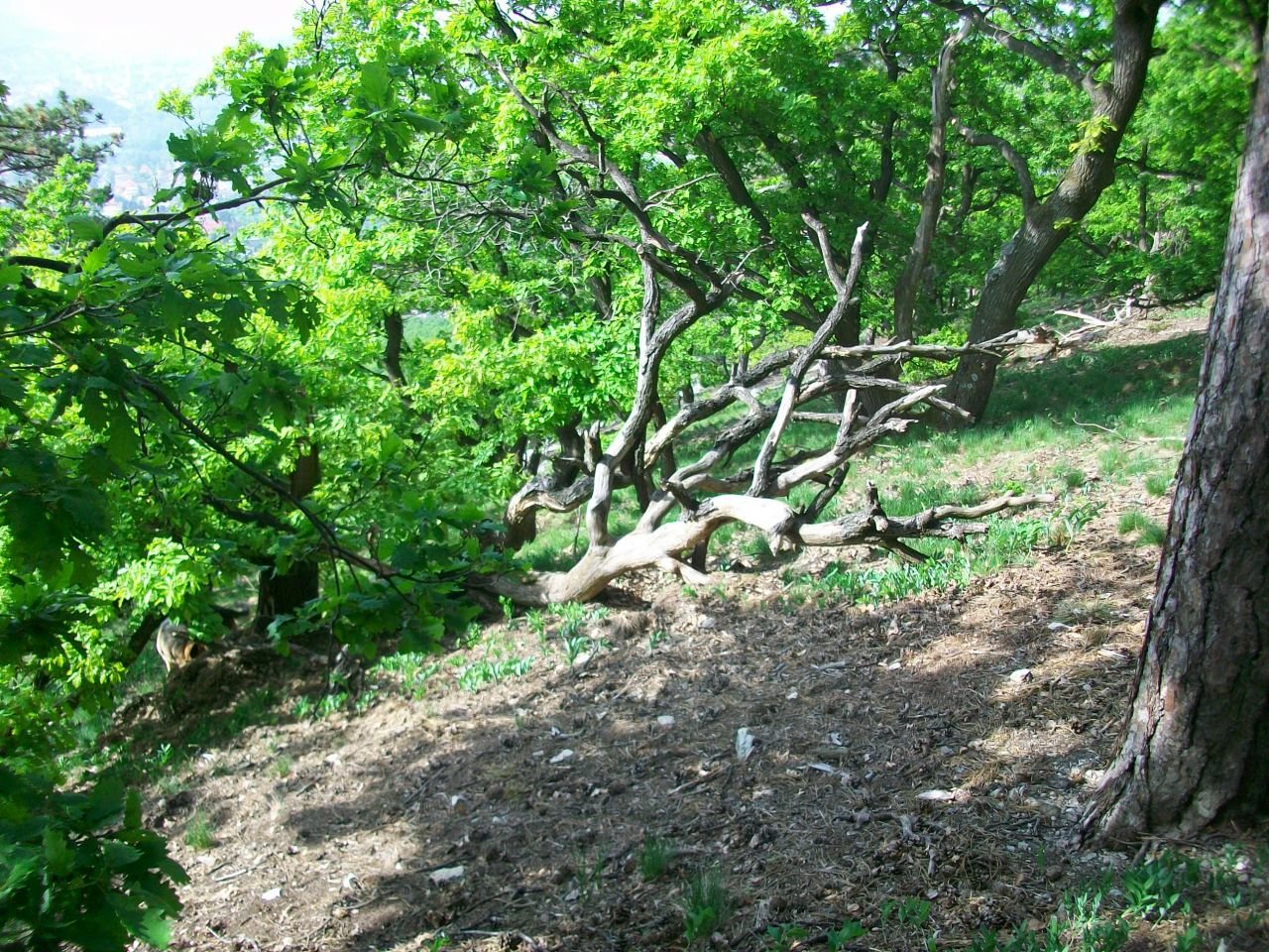 opäť ľudská ľahostajnosť