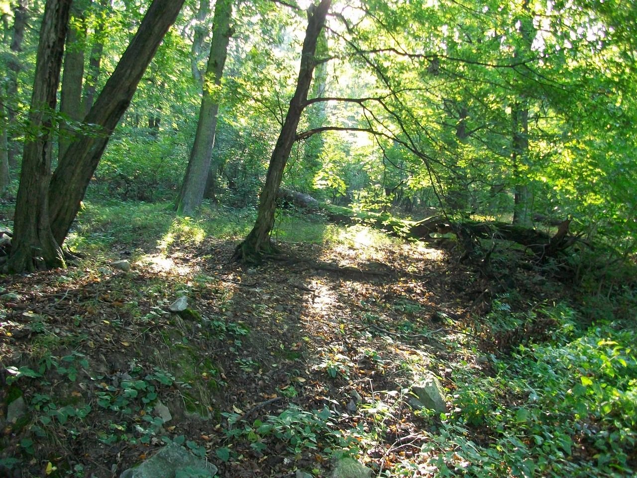 ako dobre mohol horieť v peci