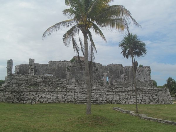 1 Tulum