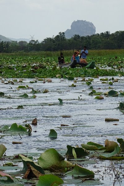 Sri Lanka